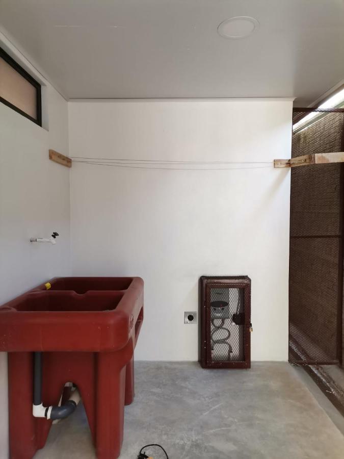 Kapaliz Apartment Tigre  Екстериор снимка
